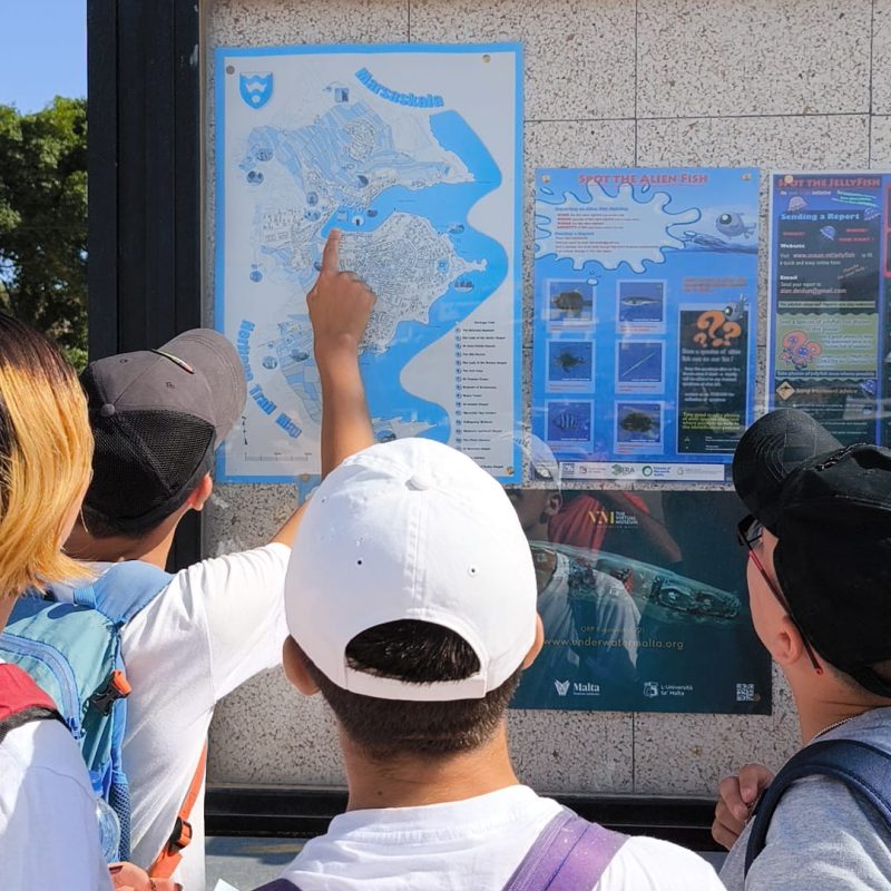 Looking at treasure hunt map