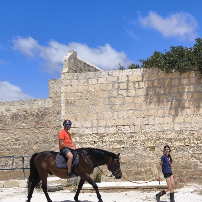A person gently guiding a horse by its lead while another rider enjoys the experience.