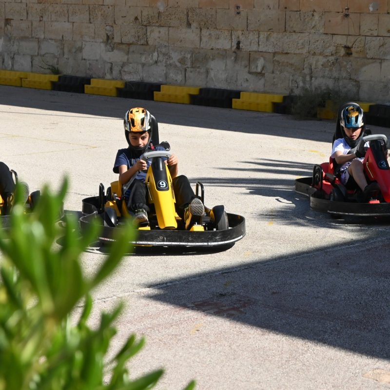 498122190 1243325251129994 5558749990080389846 n